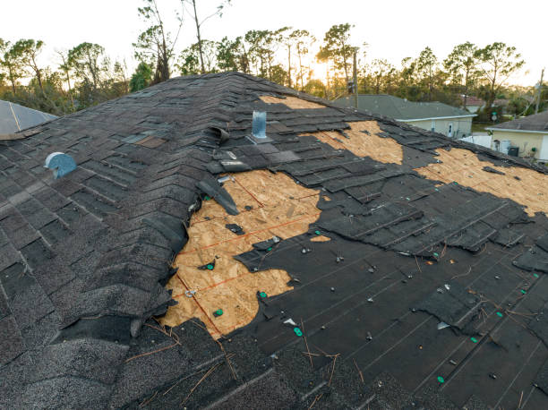 Best Roof Moss and Algae Removal  in Golden Valley, AZ